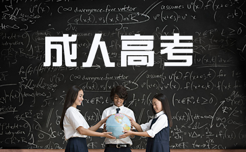 海南成人高考成績查詢