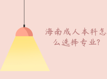 海南成人本科怎么選擇專業(yè)