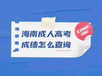 海南成人高考成績怎么查詢