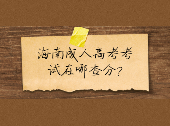 海南成人高考考試在哪查分?