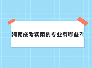 海南成考實(shí)用的專業(yè)有哪些？