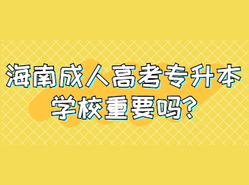 海南成人高考專升本學校重要嗎