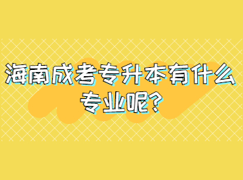 海南成考專升本有什么專業呢