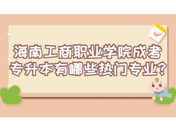 海南工商職業(yè)學(xué)院成考專(zhuān)升本有哪些熱門(mén)專(zhuān)業(yè)