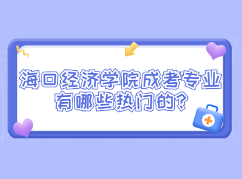 海口經濟學院成考專業有哪些熱門的