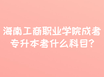 海南工商職業學院成考專升本考什么科目