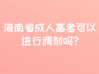 海南省成人高考可以進行調劑嗎