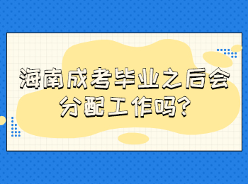 海南成考畢業之后會分配工作嗎
