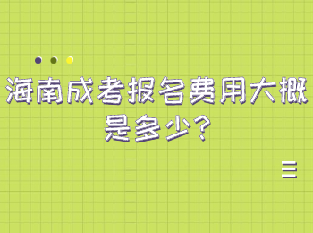 海南成考報名費用大概是多少