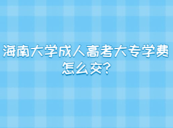 海南大學成人高考大專學費怎么交