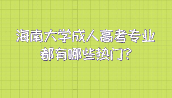 海南大學(xué)成人高考專業(yè)都有哪些熱門