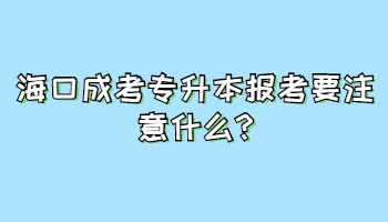 海口成考專升本報考要注意什么