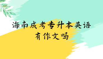 海南成考專升本英語有作文嗎