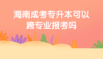 海南成考專(zhuān)升本