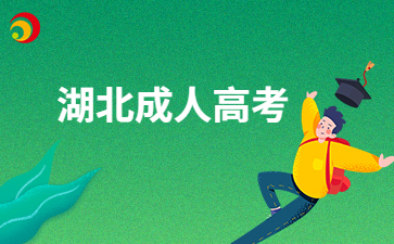 2024年海南省成考招生征集志愿與錄取查詢